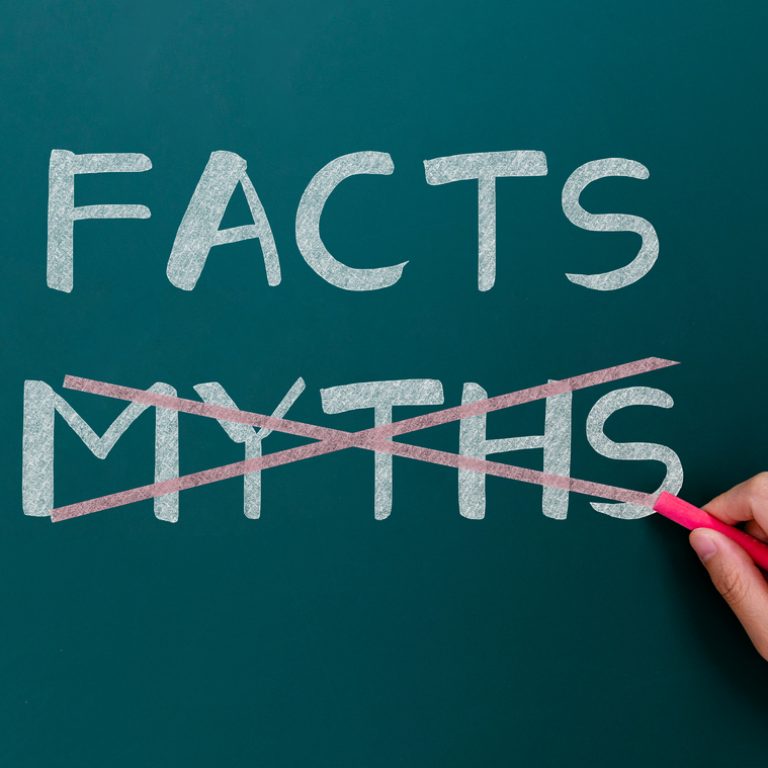 Hand drawing facts and myths on blackboard